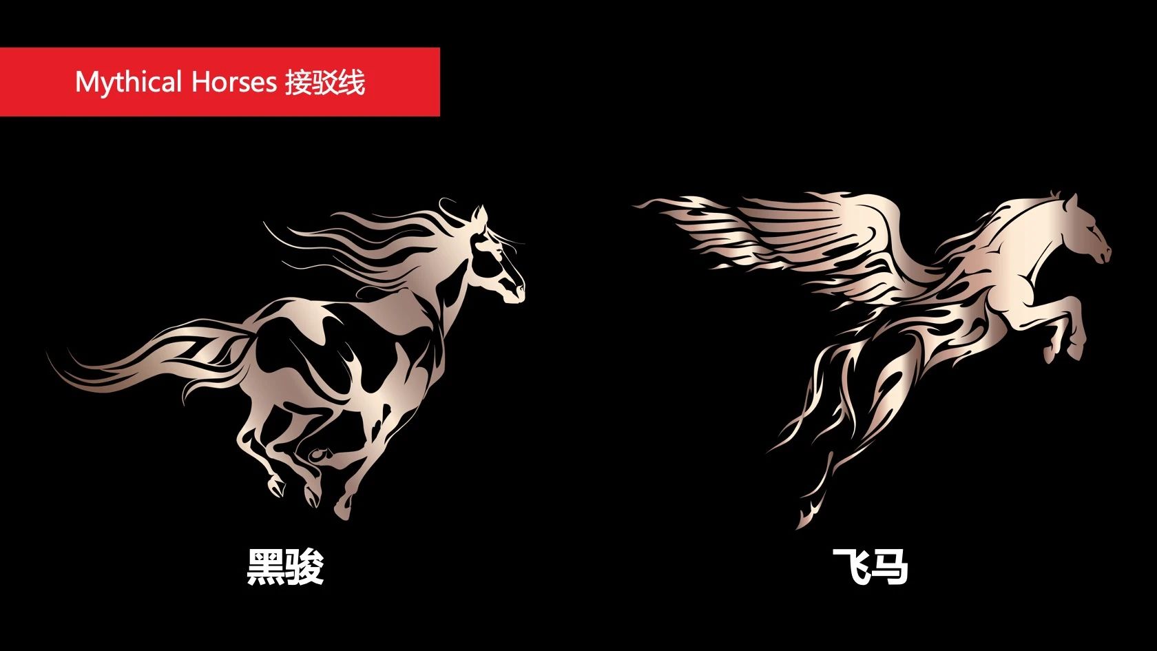 现场|“更低失真,声音更传神”泽森音响 & audioquest 2024品牌发布会在汕头举行!-影音新生活