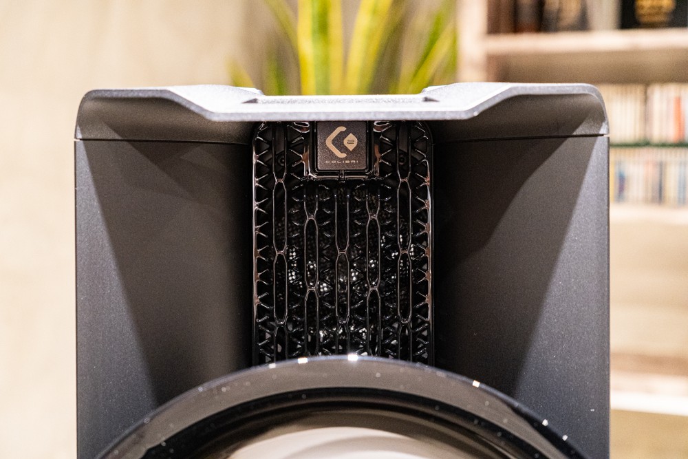 1757296235484796.jpg 无畏的蜂鸟,极限何在?:浅尝 Avantguarde Colibri C2+C18 系统