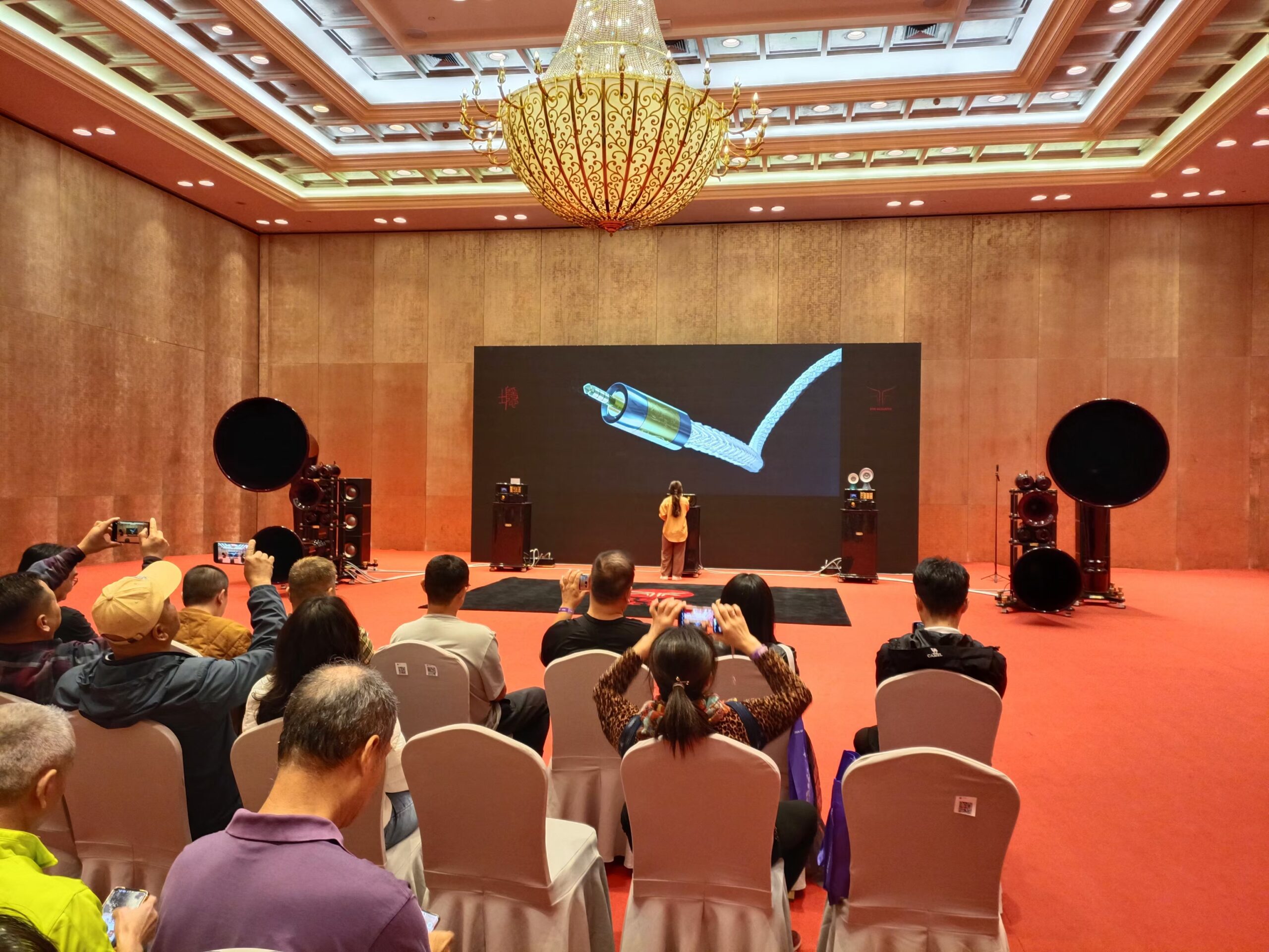 现场 | “辉煌三十载,不一样的视听享受”2024广州国际音响唱片展隆重开幕!-影音新生活