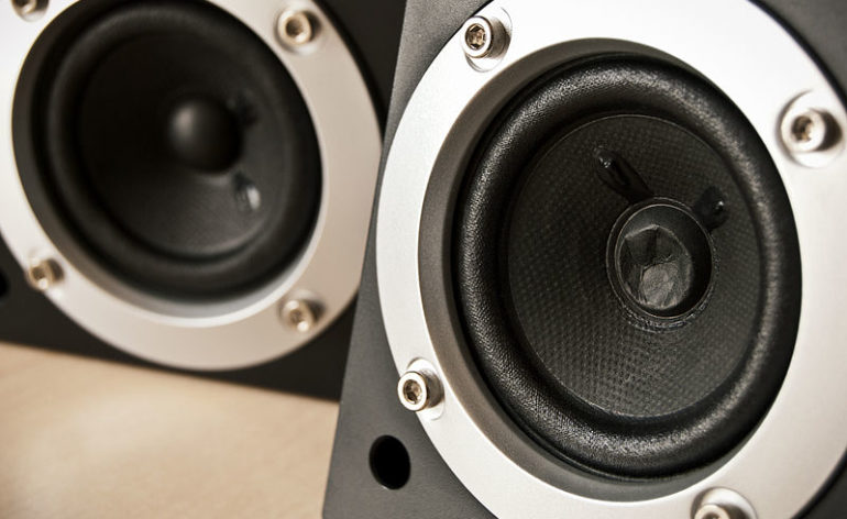 Damaged_Speaker_Dust_Cap-770x472.jpg