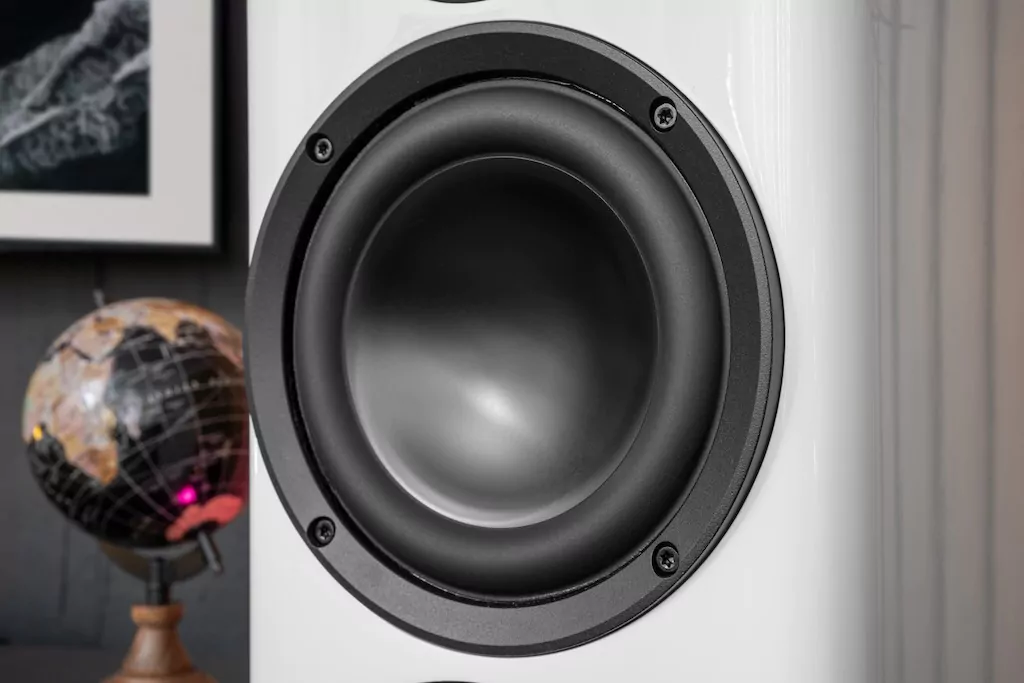 365231129.Elac-05.jpg.png