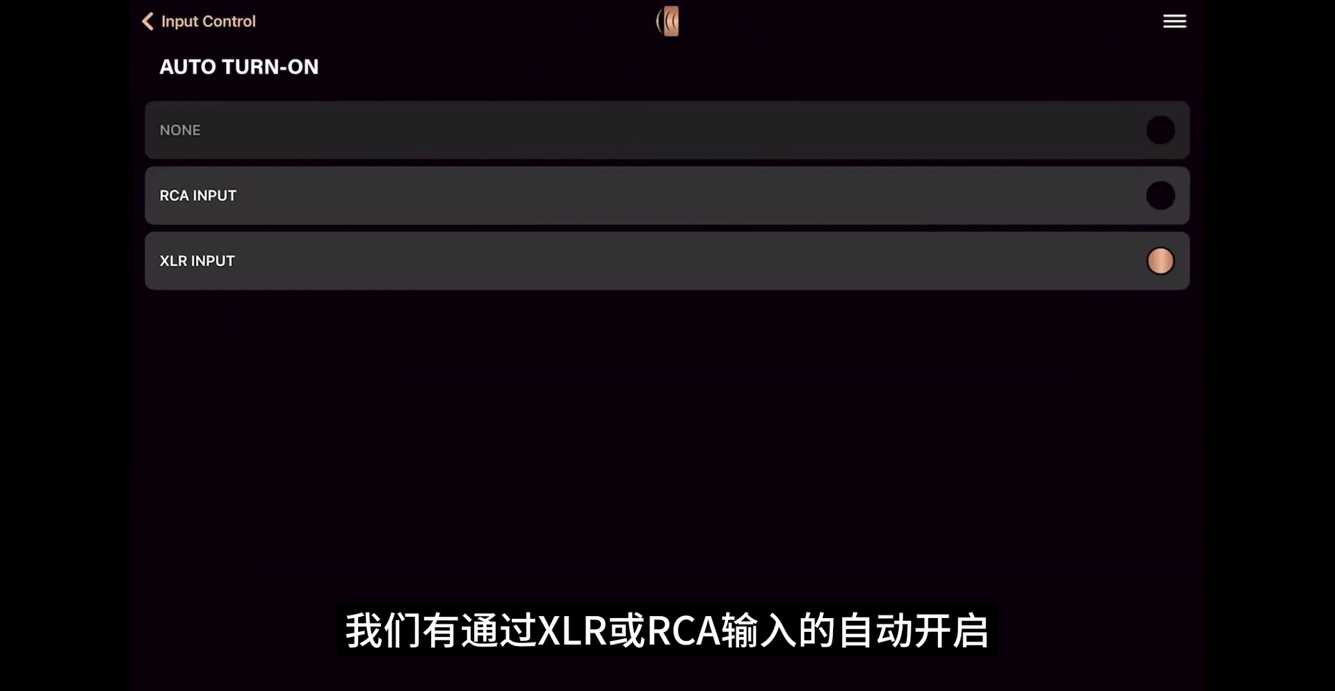 实测 | “超越自我的低频质量”Perlisten(佰俪声)R系列最大口径超低音R18S和D215s比起来如何?-影音新生活